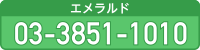Gh 1860338511010
